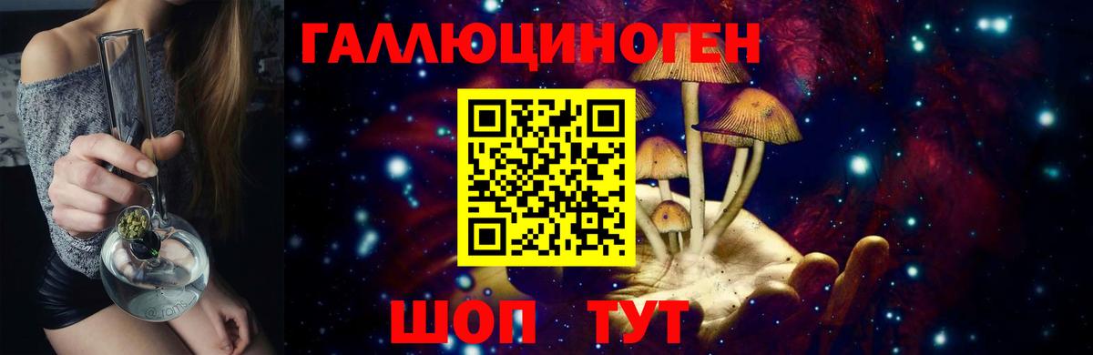 Галлюциногенные грибы Psilocybe  Псилоцибиновые грибы GOLDEN TEACHER  Дзержинск  Вход с VPN 